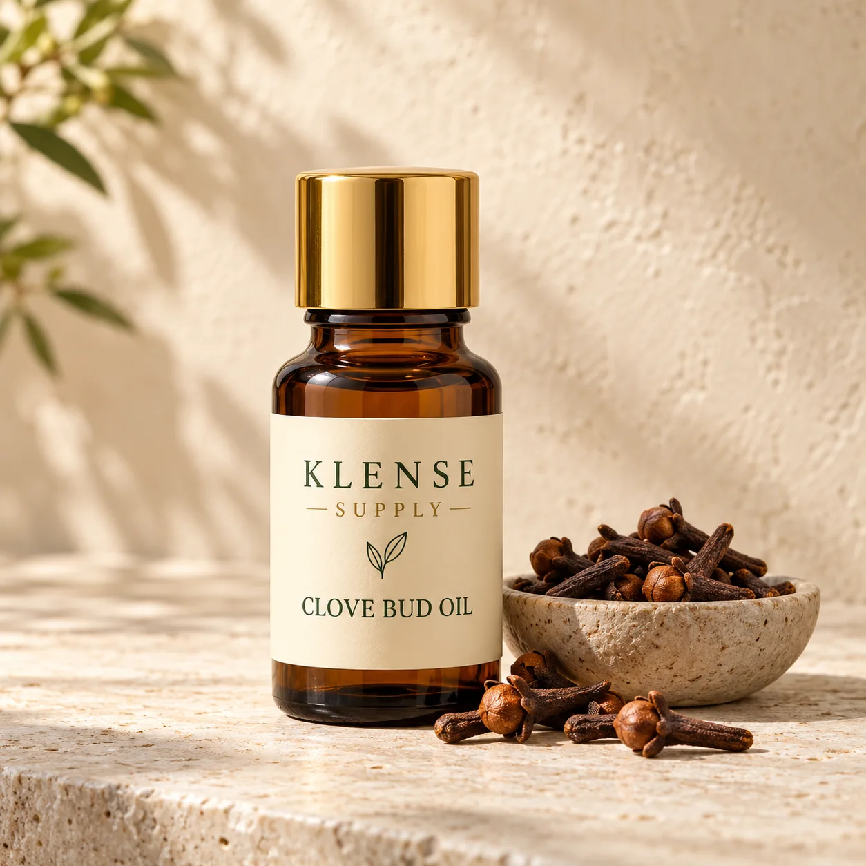 Clove Bud Oil